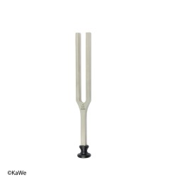 HNO-Stimmgabel